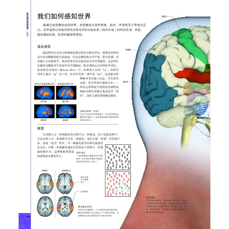 【新华文轩】DK大脑百科 关于大脑解剖结构、功能和疾病的图解指南 第3版 (英)丽塔·卡特 等 正版书籍 新华书店旗舰店文轩官网 - 图2