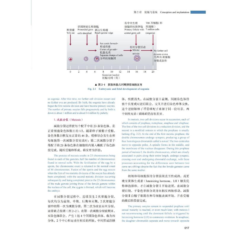 【新华文轩】妇产科学 原书第6版 中英双语版 (澳)伊恩·西蒙兹,(英)萨巴拉特南·阿鲁库马兰 正版书籍 新华书店旗舰店文轩官网 - 图3