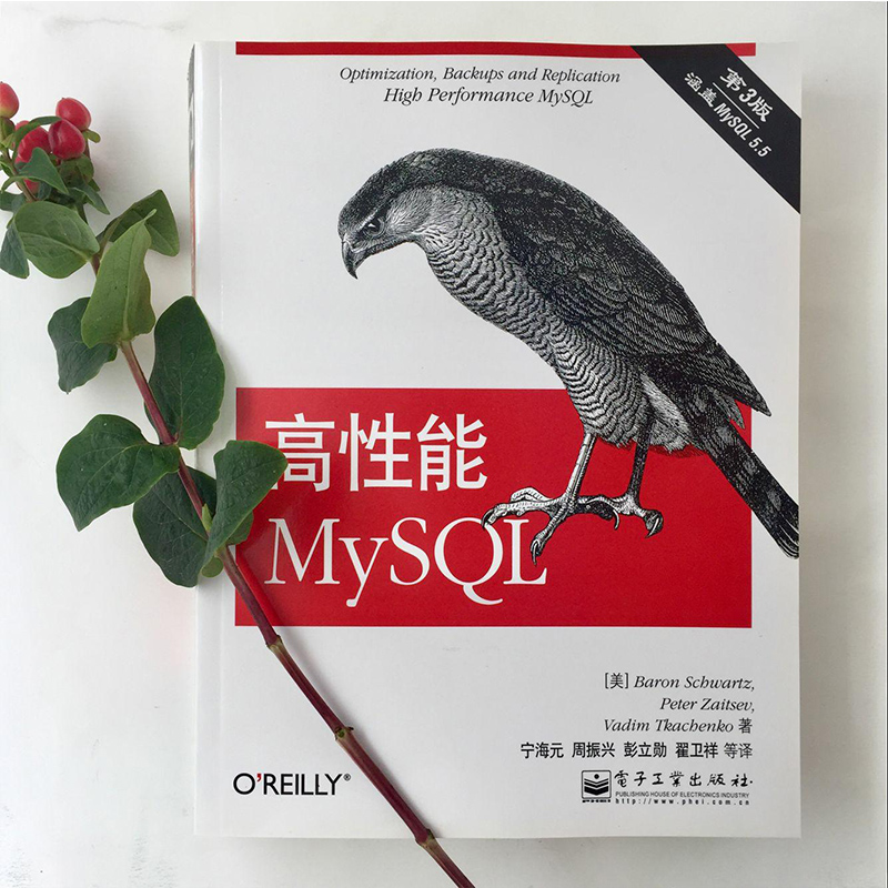 【正版】高性能MySQL 第3版 SQL优化数据库管理 mysql从入门到精通必知必会 数据挖掘数据库原理及应用 计算机语言编程设计书籍 - 图0