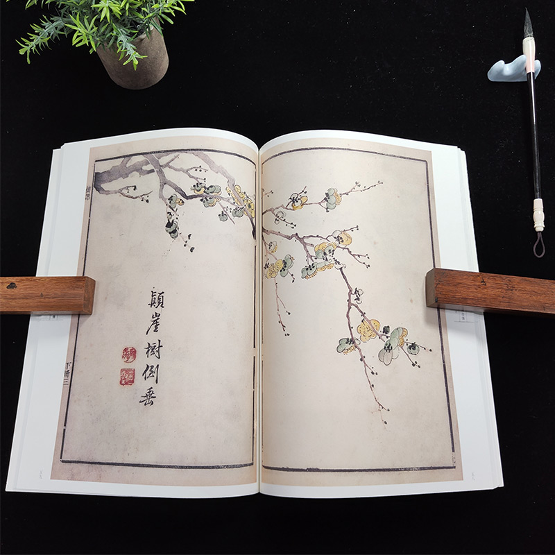 【新华文轩】康熙原版芥子园画传.花鸟卷.梅谱 花鸟卷.梅谱(清)王概,(清)王蓍,(清)王臬 编 正版书籍 新华书店旗舰店文轩官网 - 图2