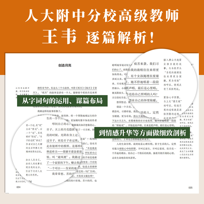 玫瑰始于荆棘之上 张丽钧 中考语文热点作家作品解析张丽钧朱成玉张亚凌没有到不了的远方少年不惧岁月 6789年级作文阅读提升书籍 - 图3