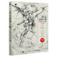 2D cartoon character hand-drawing techniques Detailed explanation of human body structure Dynamic characters comics modeling game animation drawing tutorial book sketch copy picture album sketch introduction book illustration tutorial book animation animation animation painting book