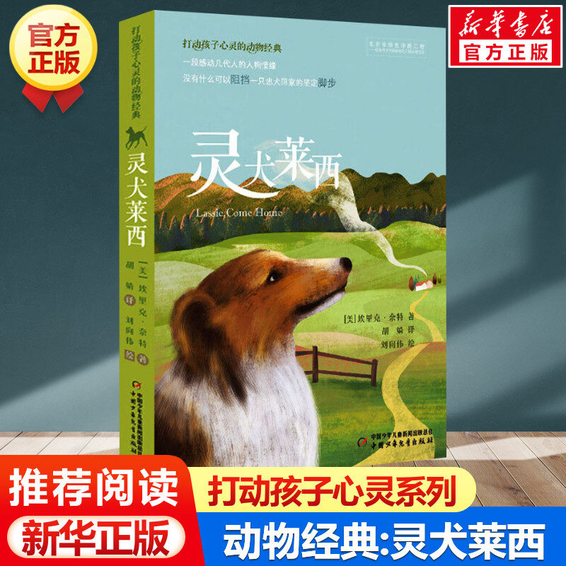 小灵犬狗 新人首单立减十元 22年1月 淘宝海外