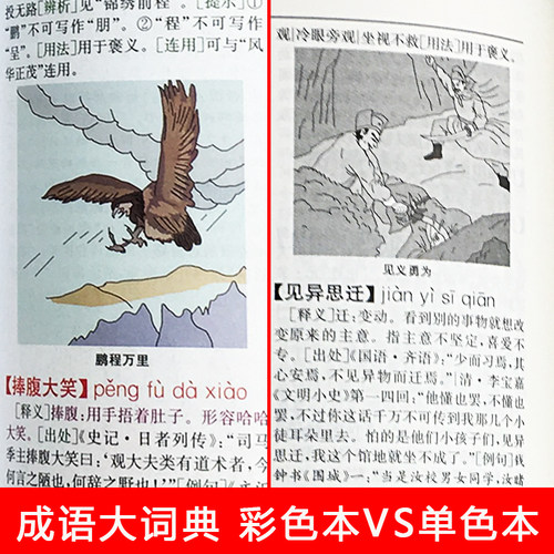 2025新现代汉语词典第7版最新版+成语大词典彩色新华字典商务印书馆初高中学生中高考教辅工具书中华全新正版 - 图1