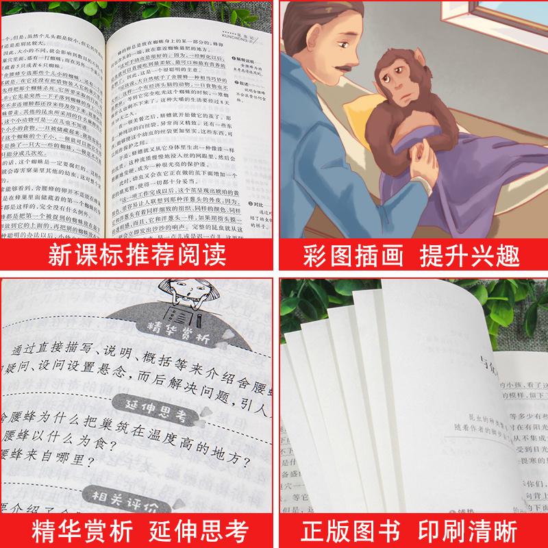 西顿动物故事集 爱阅读名著课程化丛书青少年小学生儿童二三四五六年级上下册必课外阅读物故事书籍快乐读书吧老师推荐正版 - 图1