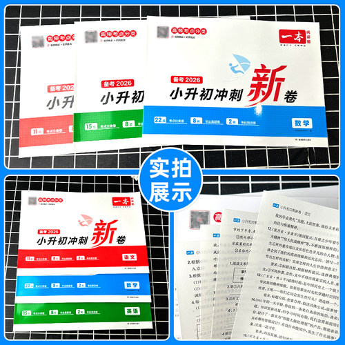 2026版一本小升初冲刺新卷语文数学英语真题专题模拟卷期中期末单元五六年级名校冲刺总复习大盘点小学升初中毕业测试练习册小考-图2