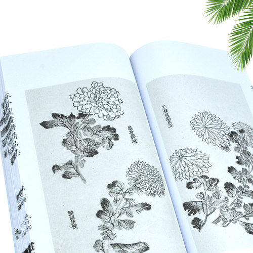 芥子园画谱精品集宣纸线装一函二册 书香传家 梅兰竹菊谱芥子园画谱画传国画入门山水画花鸟画 - 图1
