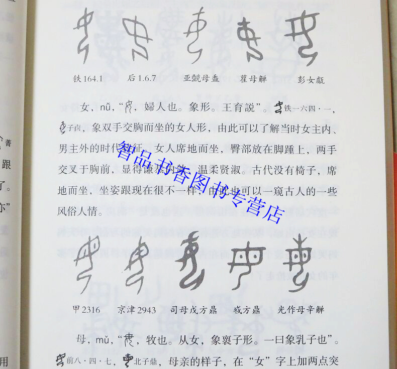 说文解字十二讲 万献初解字讲经 中华书局正版说文解字青少年读物 字头加注汉语拼音 深入浅出地分类讲解汉字的构形意图和字形结构