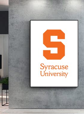Syracuse挂画雪城大学装饰画 卧室办公 现代简约 卧室客厅 背景墙