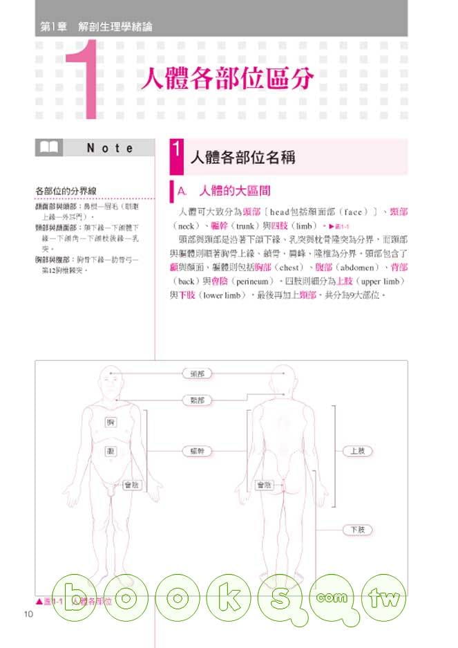 预售正版竹内修二新快学解剖生理学三悦文化医疗保健原版进口书-图1