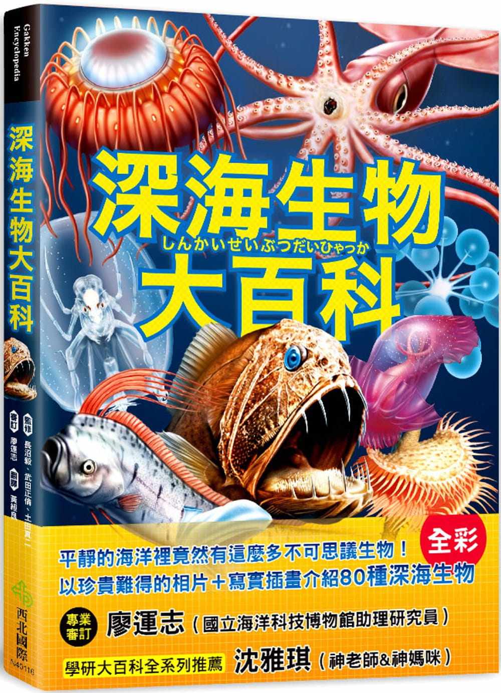 深海生物 新人首单立减十元 21年8月 淘宝海外