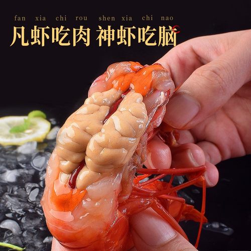 红魔虾特大刺身级红虾鲜活大虾新鲜海虾生吃生食莫桑比克西班牙-图1