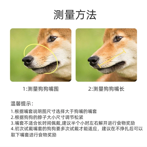 ДОБАВИТЬ РУТА КВОЧКИ МОБОЛЬКО АНТИ -Рэндома Анти -Бейт СОБАКА