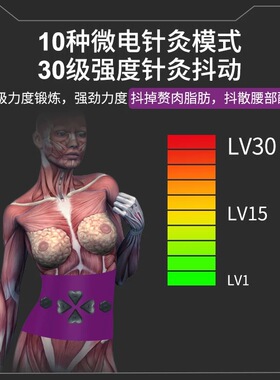 微电流腰带发热排湿寒美容院针灸脉冲震动加热敷包塑腹大肚子家用
