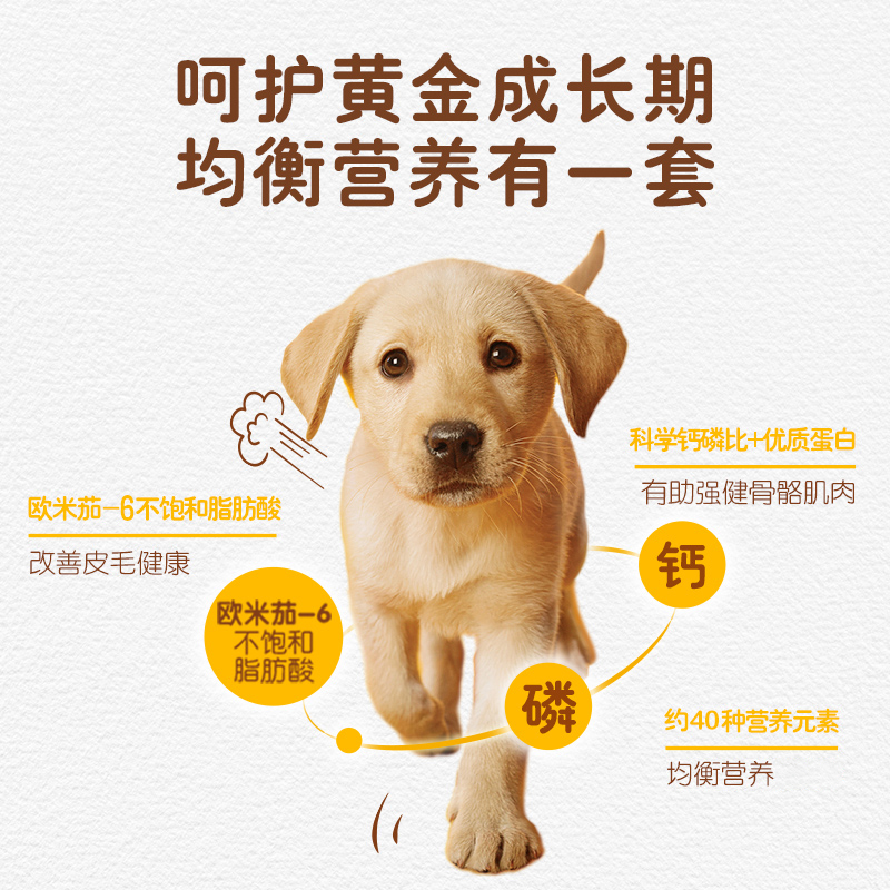 宝路狗粮泰迪金毛拉布拉多通用型幼犬1.3kg - 图3