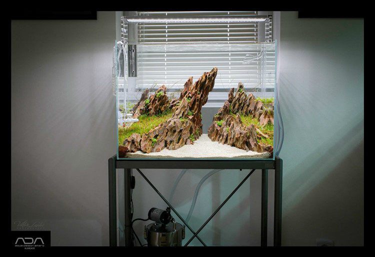 人气天然造景素材松皮石水草缸造景石头微景观盆景假山水族箱装饰,淘宝优惠券,粉丝福利购,淘宝优惠卷