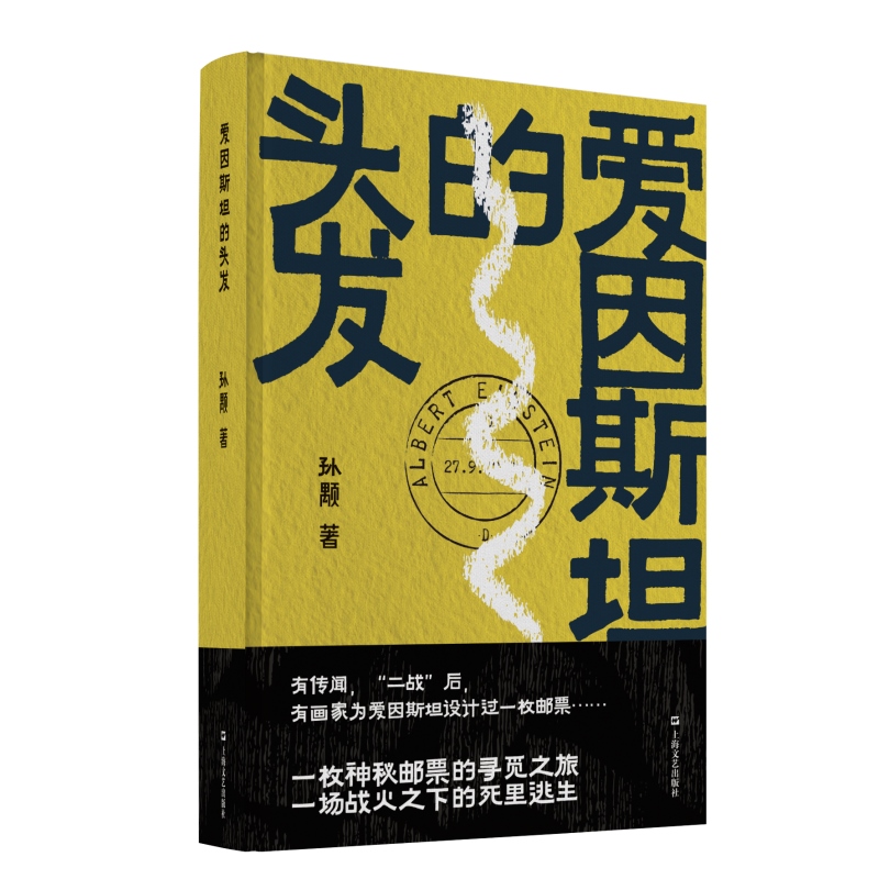 爱因斯坦的头发 孙颙奇思小说太史公笔法书写奇人奇事上海文艺出版社另著漂移者/缥缈的峰/风眼/他们的世界/哲学的瞌睡/拍卖师阿独