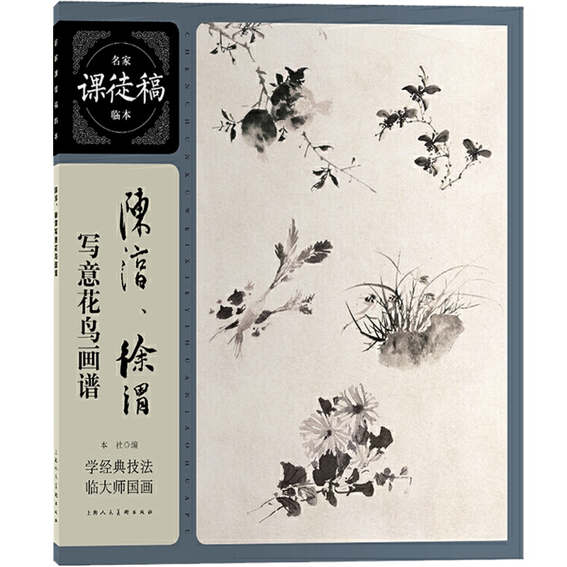陈淳、徐渭写意花鸟画谱——名家课徒稿临本 - 图0