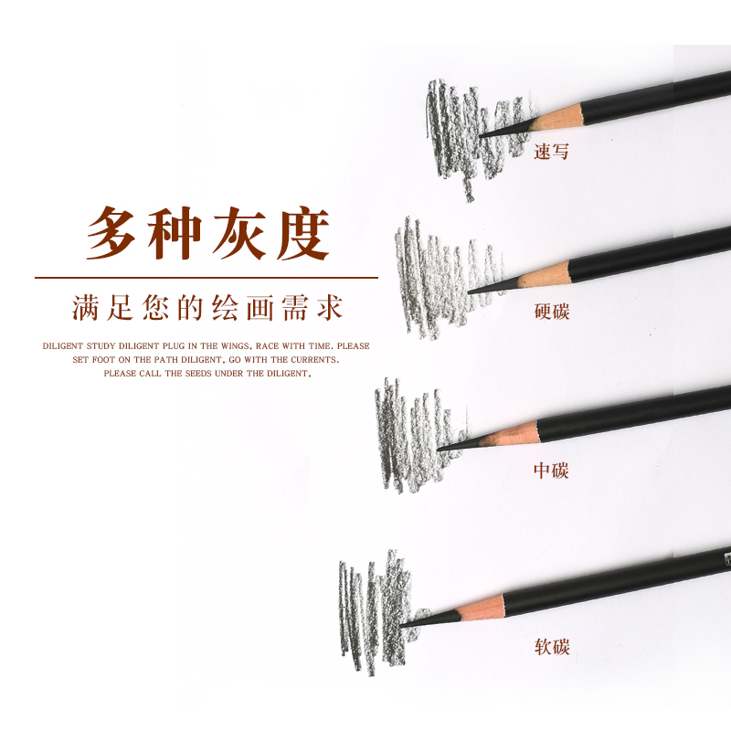 毕加索美术生考试专用专业素描炭笔软性速写碳笔绘画铅笔14B亚光 - 图1