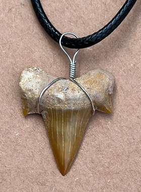 天然耳齿鲨鱼牙齿项链