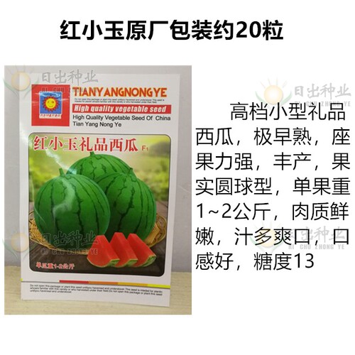 西瓜种子高产甜早熟8424早佳冰糖麒麟王京欣西农八号懒汉特大巨型 - 图2