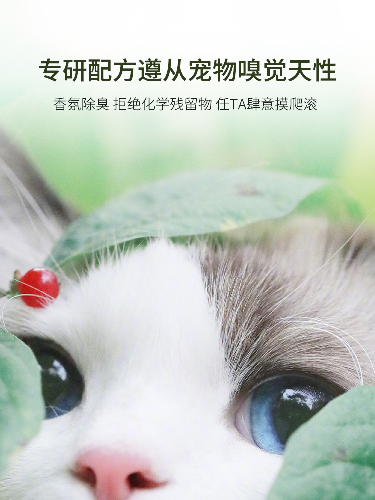 【鲁班家】Puff宠物除臭剂狗狗猫咪猫屎地板清洁剂拖地室内杀菌除-图0