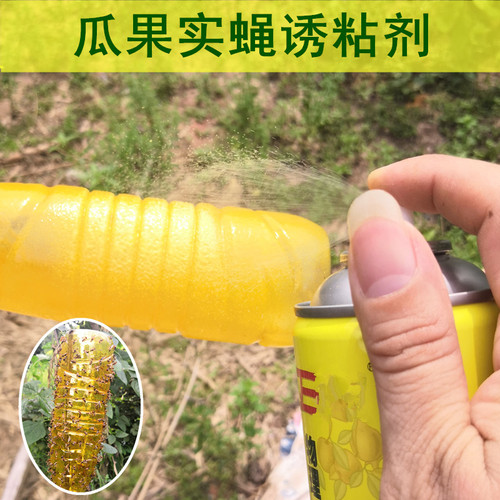 瓜果实蝇诱粘剂 粘胶板针蜂捕捉诱捕器引诱剂 果园农场诱果蝇剂 - 图0