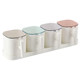 Condiment box with lid for household kitchen supplies