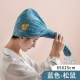 Hair Drying Cap Super Water Absorbent Quick-Drying Shower Cap Women's Hair Drying Towel