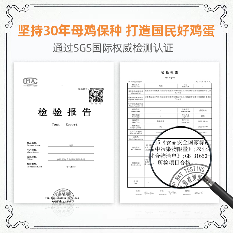 雀淘新鲜无抗土鸡蛋10枚装正宗皖南山区谷物散养柴草鸡蛋整箱营养_雀淘生鲜店_水产肉类/新鲜蔬果/熟食