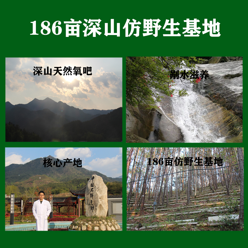 正品5年原种霍山铁皮石斛鲜条食用特级新鲜500克太平畈乡官方胶多 - 图2