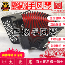 Parrot Bayan Accordion 8 12 60 96 96 Sibayanqin First Class Professional Play