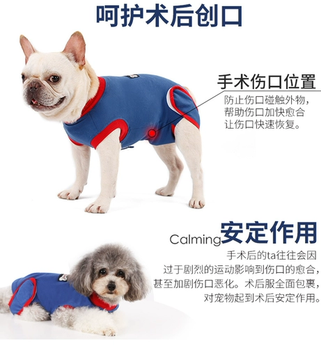 Домашние животные после операции на домашних животных, хирургия стерилизованной одежды для собак для защиты ран, ткань и защиты живота, против ликования и восстановления самуида