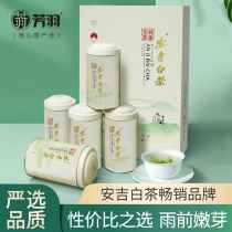 Fragrant plums white tea 2023 New tea Angie gift boxed white tea sending elders authentic green tea leaf flagship store