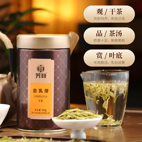2026年新茶芳羽明前特级金乳芽奶香白茶安吉茶叶白茶黄金芽100g - 图1