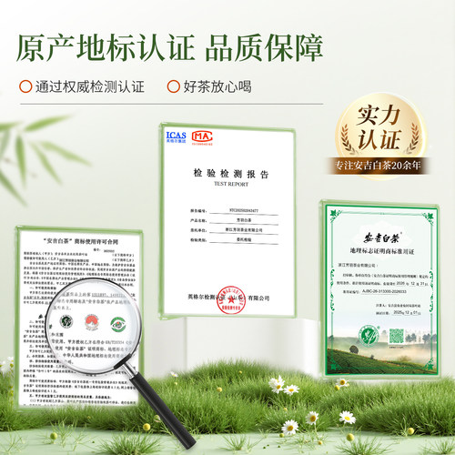 2026年新茶上市芳羽安吉白茶开园头采竹制礼盒100g珍稀明前绿茶叶 - 图0