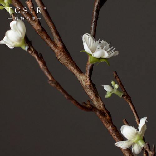 桃花仿真花室内现代餐桌花艺摆件花束装饰插花假花客厅摆设干花 - 图2