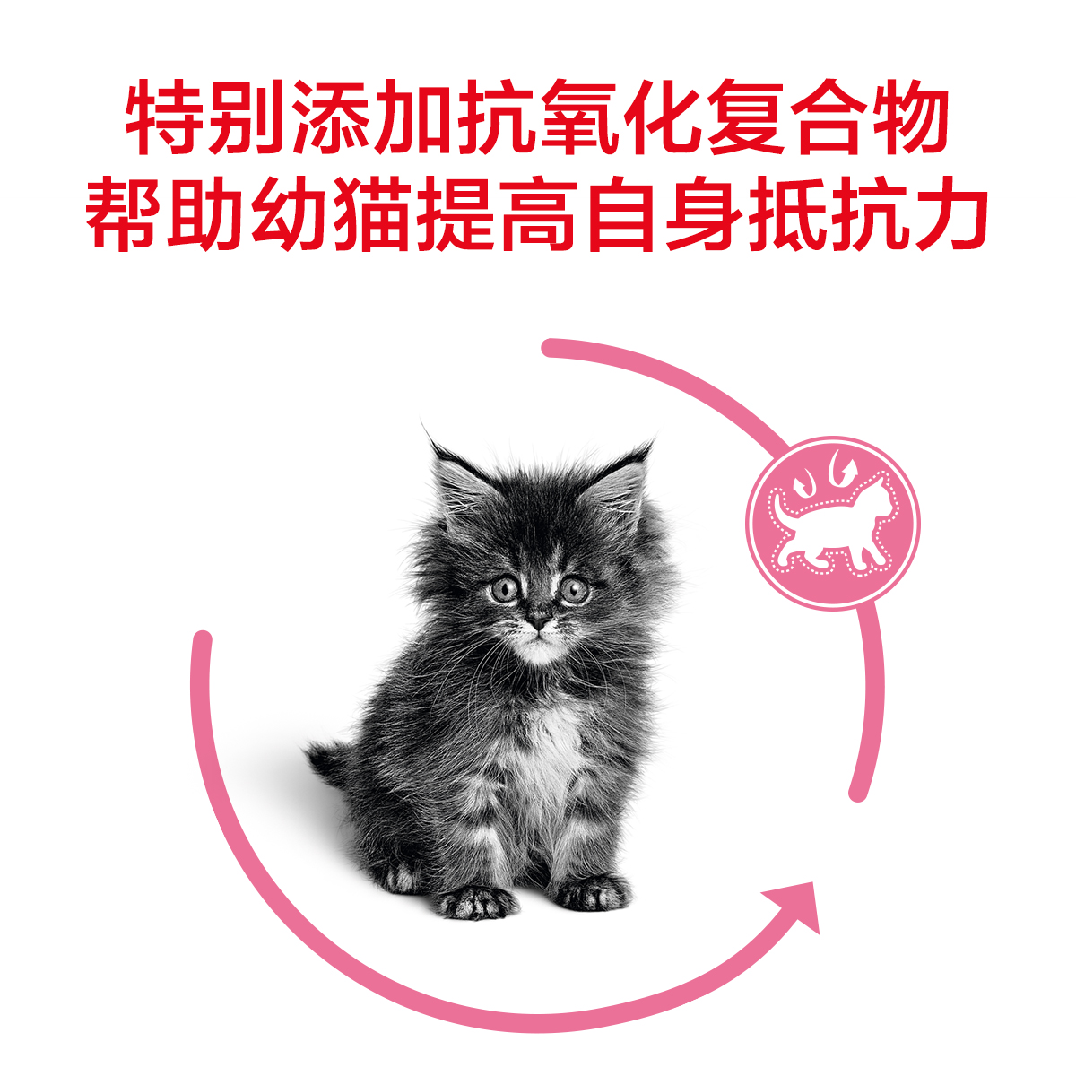 皇家猫粮 K36幼猫猫粮2kg 宠物天然猫粮离乳期幼猫猫粮鸡肉味包邮优惠券