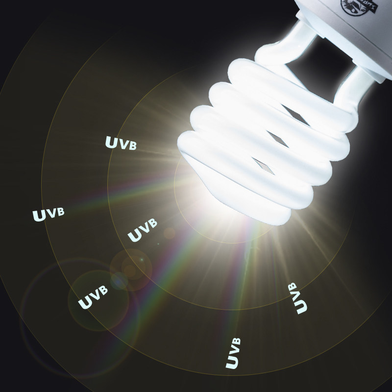 SuperRep爬虫UVB节能灯陆龟鬃狮10.0爬宠饲养箱乌龟补钙晒背灯5.0 - 图2