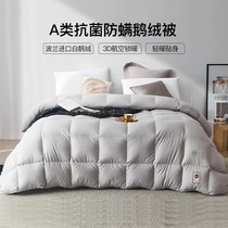 Hengyuan Xiang mixed duvet quilted by white goose down Spring and autumn quilt with double thickened warm antibacterial quilt Winter quilted by the core