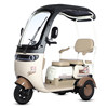 New electric tricycle household small elderly people's scooter women's mountain climbing battery tricycle