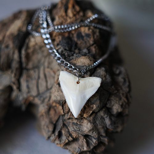 原创设计天然鲨鱼牙齿能量好运吊坠项链男礼物小众毛衣链锁骨链女 - 图0