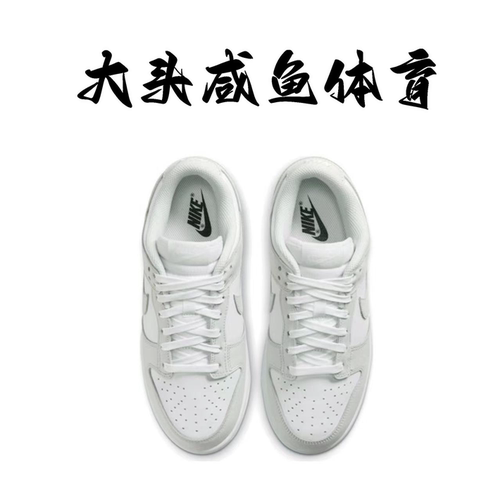Nike Dunk Low 耐克女子低帮DUNK白灰色板鞋 DD1503-103 - 图1