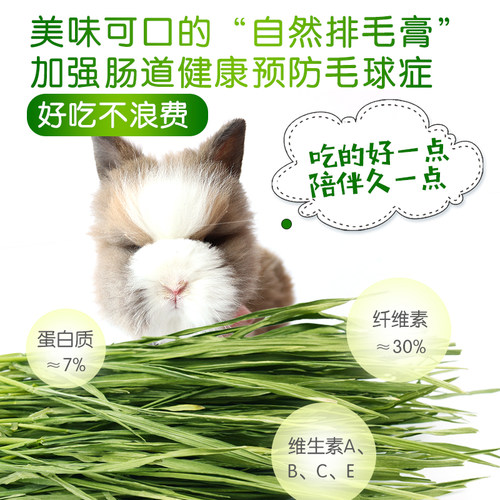 26年宠物兔子草料小麦草干草嫩苗荷兰猪烘干牧草促进肠胃消化200g - 图0