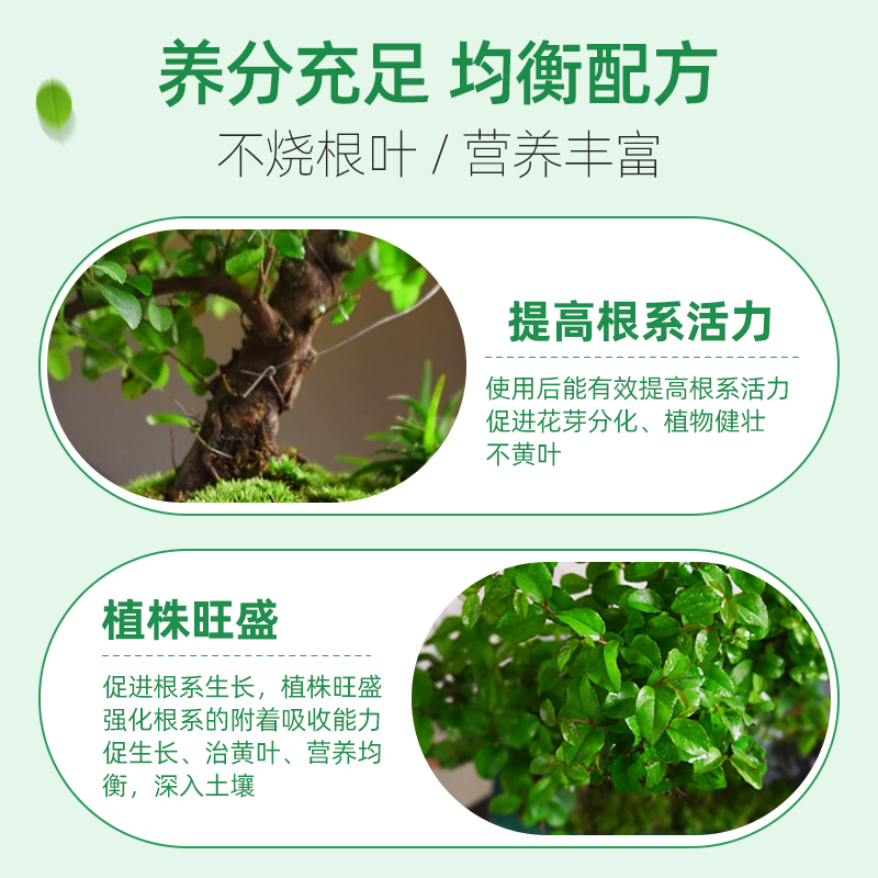 雀梅肥料雀梅藤树苗专用肥料酸色子雀梅老桩盆景专治叶子发黄掉叶,淘宝优惠券,粉丝福利购,淘宝优惠卷