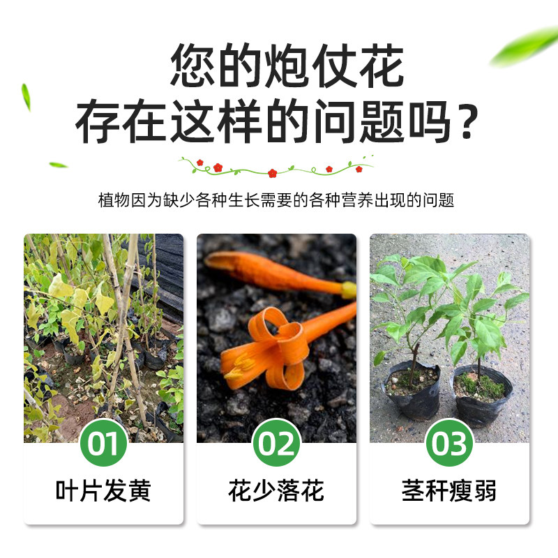 炮仗花肥料专用肥爆竹花营养液庭院盆栽爬藤植物爆炸花吉祥草花肥,淘宝优惠券,粉丝福利购,淘宝优惠卷