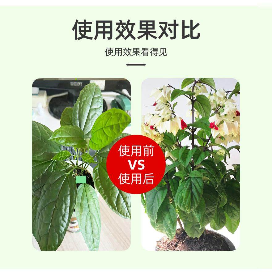 龙吐珠肥料专用肥绿叶营养液盆景盆栽室内室外花草有机肥家庭四季,淘宝优惠券,粉丝福利购,淘宝优惠卷