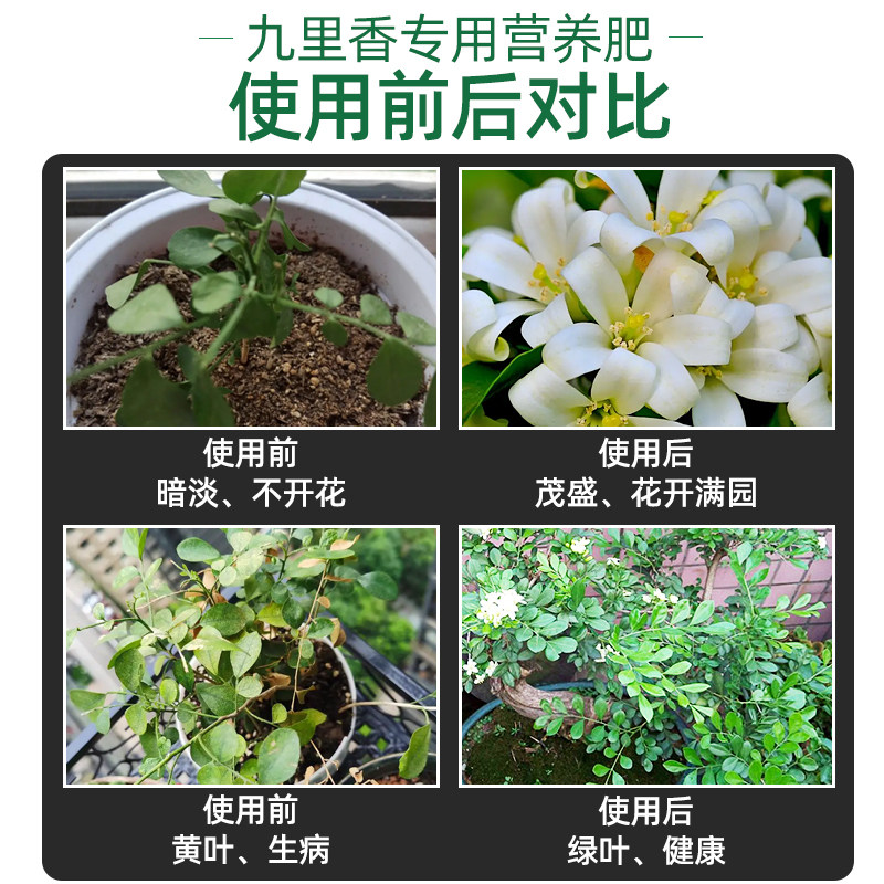 九里香肥料九里香专用肥九里香营养液盆栽花肥七里香化肥九里香树,淘宝优惠券,粉丝福利购,淘宝优惠卷