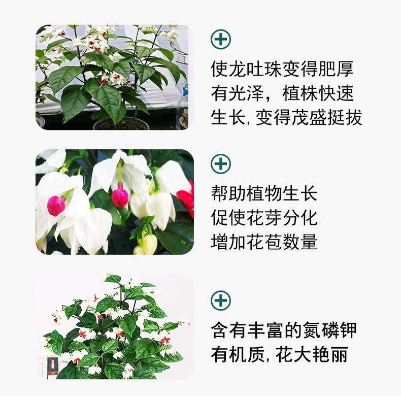 龙吐珠肥料专用肥绿叶营养液盆景盆栽室内室外花草有机肥家庭四季,淘宝优惠券,粉丝福利购,淘宝优惠卷