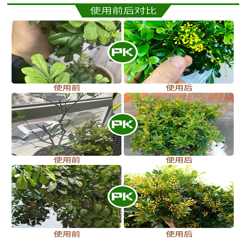 米兰肥料米兰花专用肥米兰营养液花肥土米兰花肥料香水叶子什么掉-图2